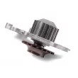 Pompe à eau HEPU P803 - Visuel 2