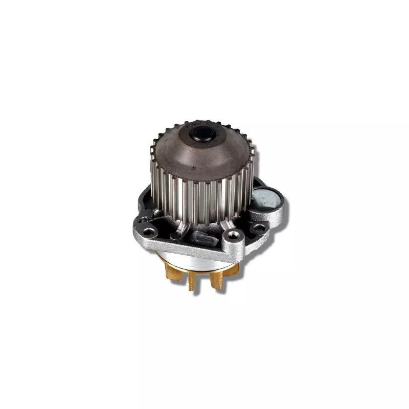 Pompe à eau HEPU P805
