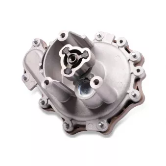 Pompe à eau HEPU P808