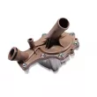Pompe à eau HEPU P808 - Visuel 2