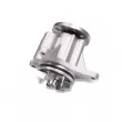 Pompe à eau HEPU P809 - Visuel 1