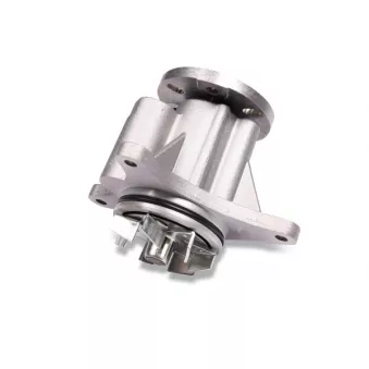 Pompe à eau HEPU P809