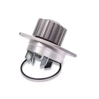 Pompe à eau HEPU P812