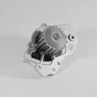 Pompe à eau HEPU P815