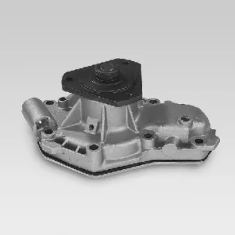 Pompe à eau HEPU P817