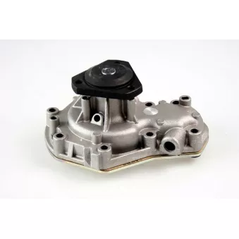 Pompe à eau HEPU P818