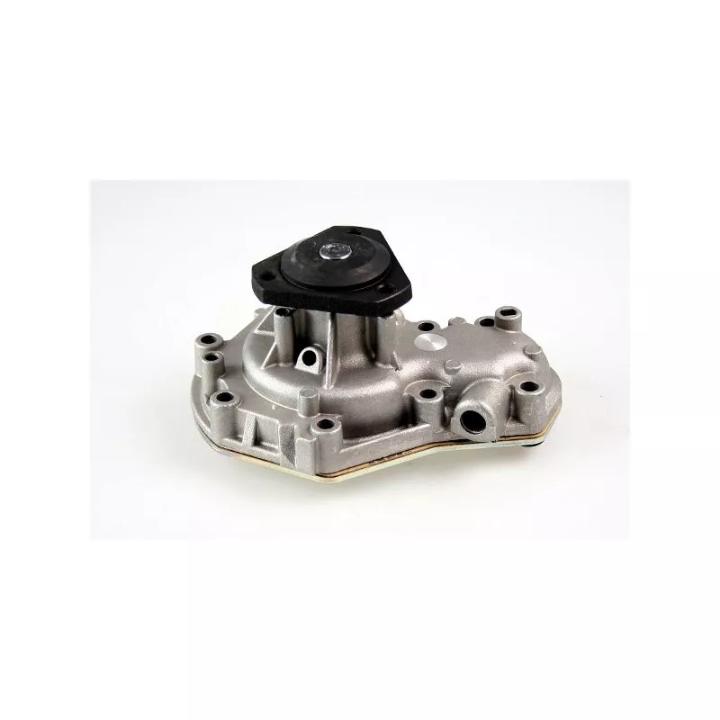 Pompe à eau HEPU P818