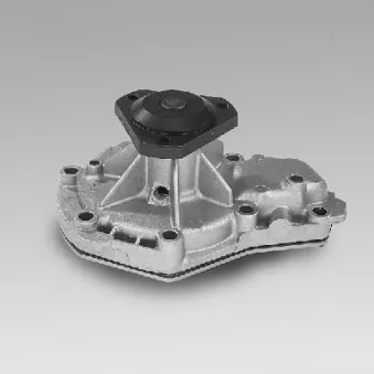 Pompe à eau HEPU P819
