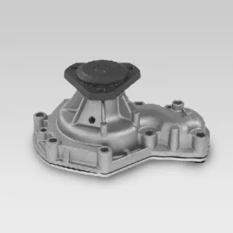 Pompe à eau HEPU P820
