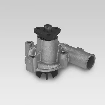 Pompe à eau HEPU P821