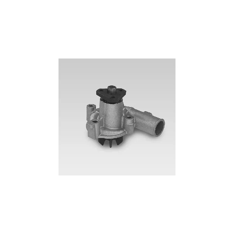 Pompe à eau HEPU P821