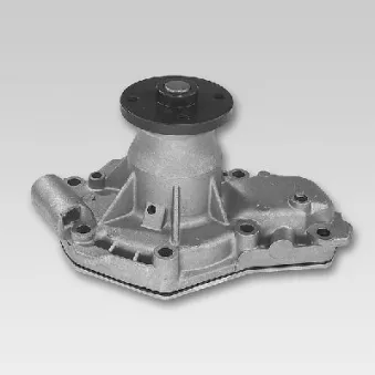 Pompe à eau HEPU P822