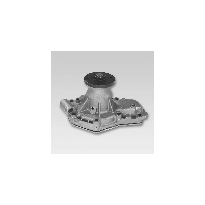 Pompe à eau HEPU P822