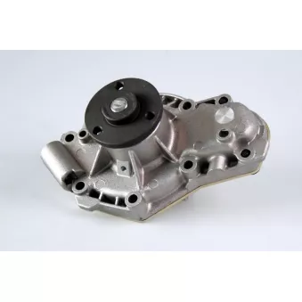 Pompe à eau HEPU P823