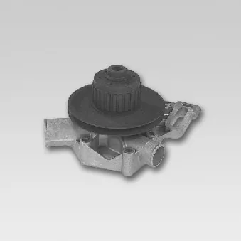 Pompe à eau HEPU P825