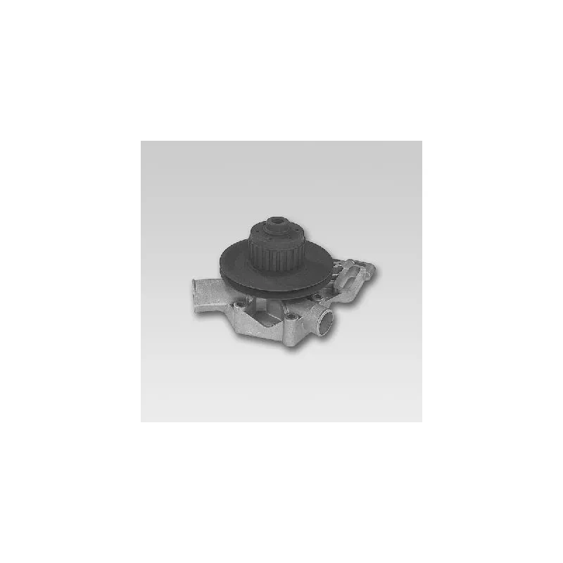 Pompe à eau HEPU P825