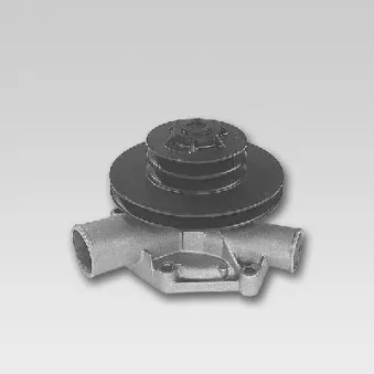 Pompe à eau HEPU P826