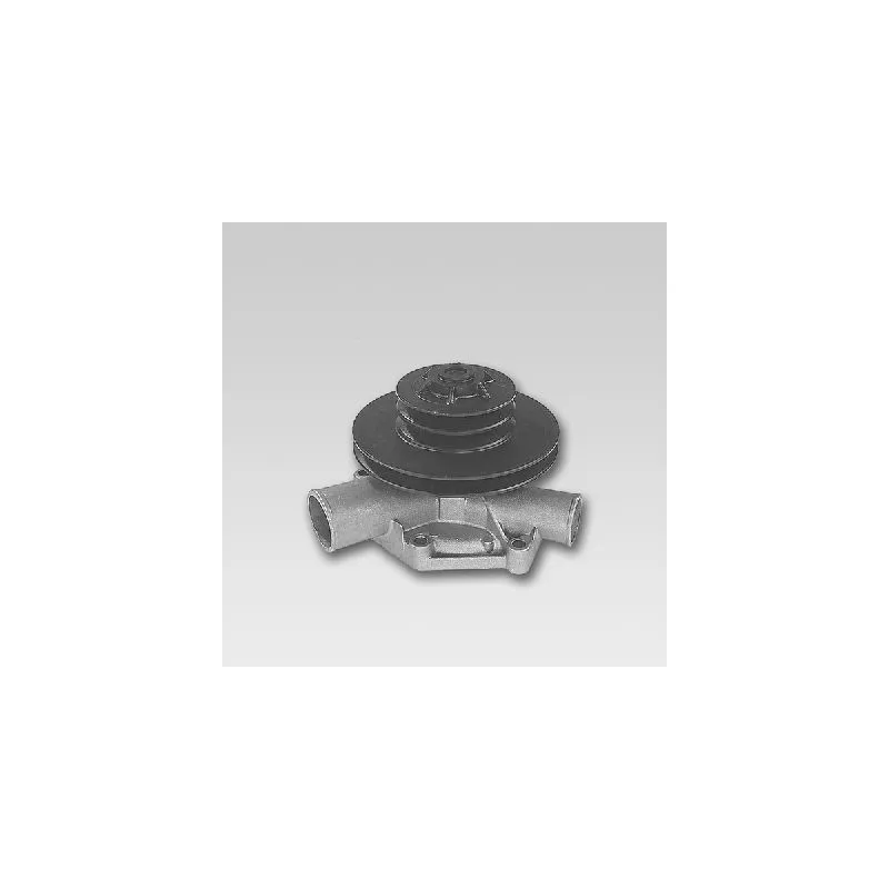 Pompe à eau HEPU P826
