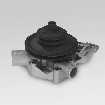 Pompe à eau HEPU P827