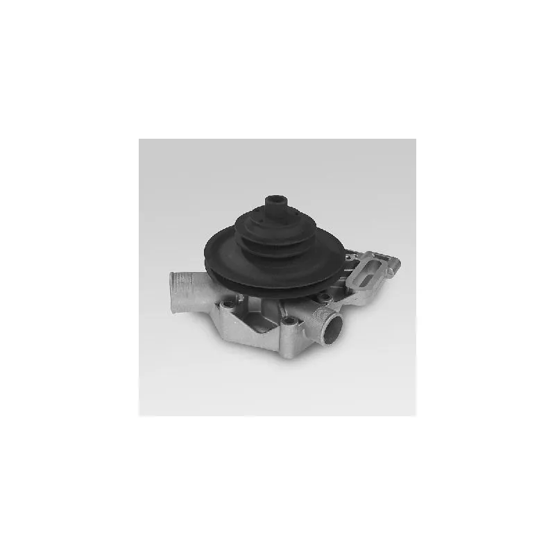 Pompe à eau HEPU P827