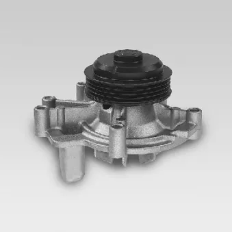 Pompe à eau HEPU P829