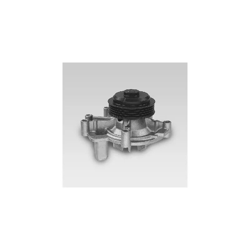 Pompe à eau HEPU P829