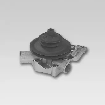Pompe à eau HEPU P830