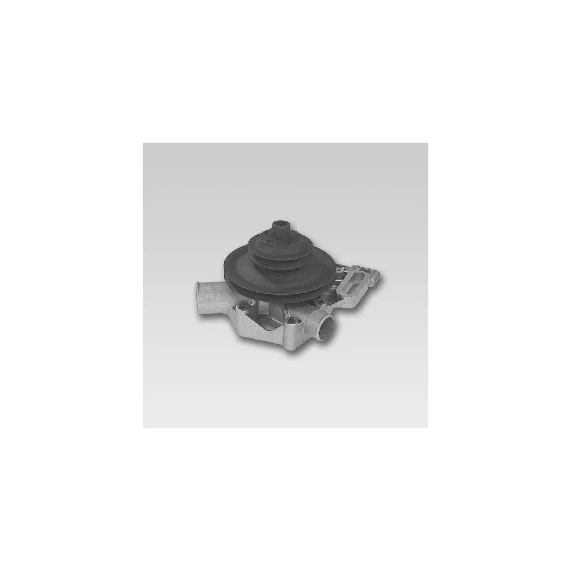 Pompe à eau HEPU P830