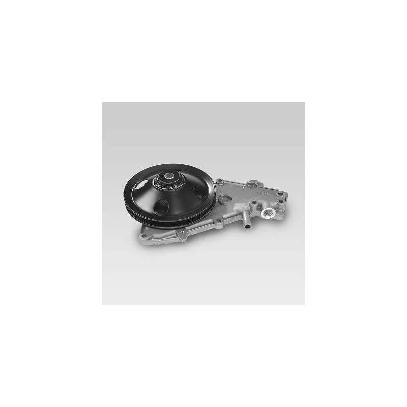 Pompe à eau HEPU P832