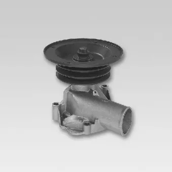 Pompe à eau HEPU P833