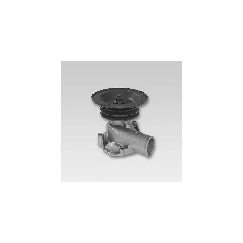 Pompe à eau HEPU P833