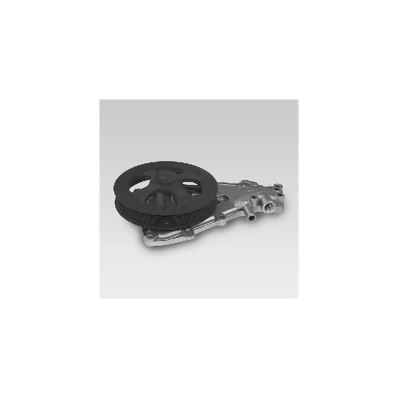 Pompe à eau HEPU P834