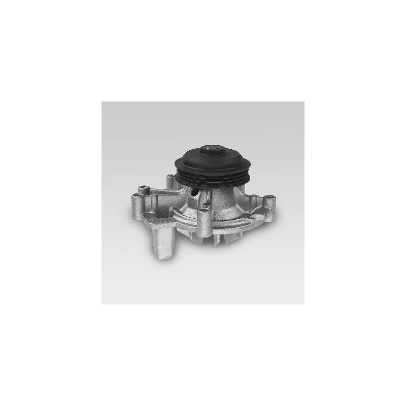 Pompe à eau HEPU P838