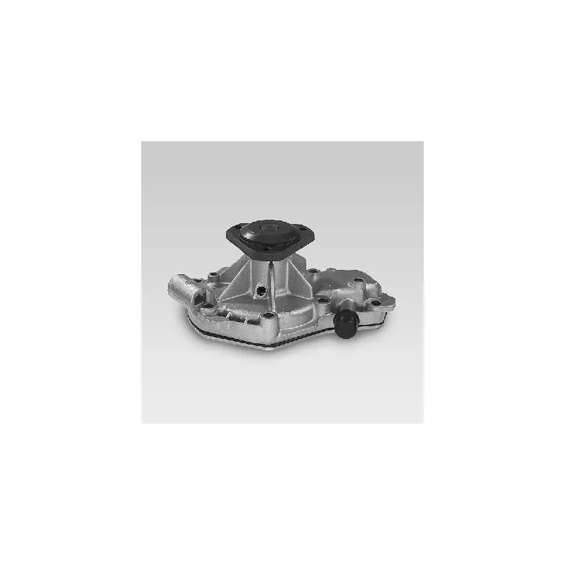 Pompe à eau HEPU P840