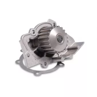 Pompe à eau HEPU P841