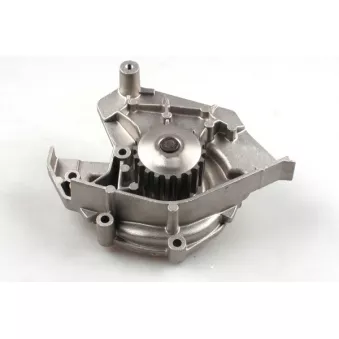 Pompe à eau HEPU P843