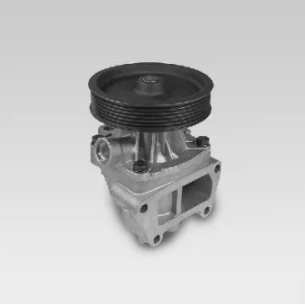 Pompe à eau HEPU P847