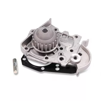 Pompe à eau HEPU P849