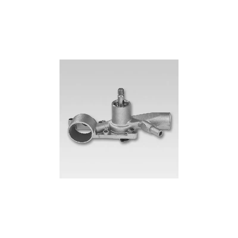Pompe à eau HEPU P850