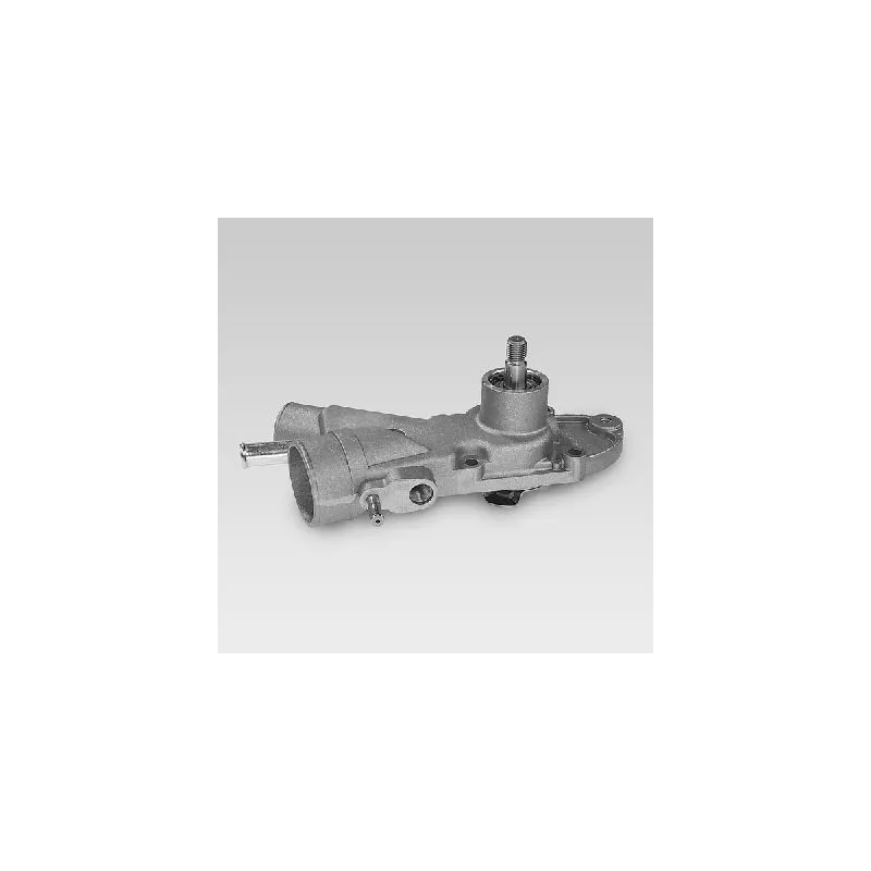 Pompe à eau HEPU P854