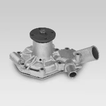 Pompe à eau HEPU P858
