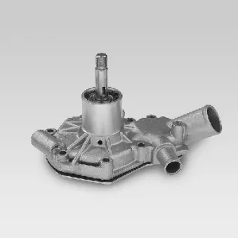 Pompe à eau HEPU P859