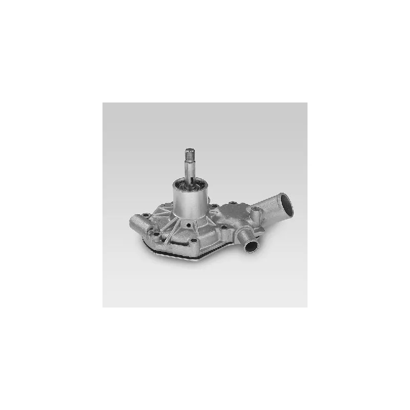 Pompe à eau HEPU P859