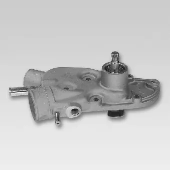 Pompe à eau HEPU P862