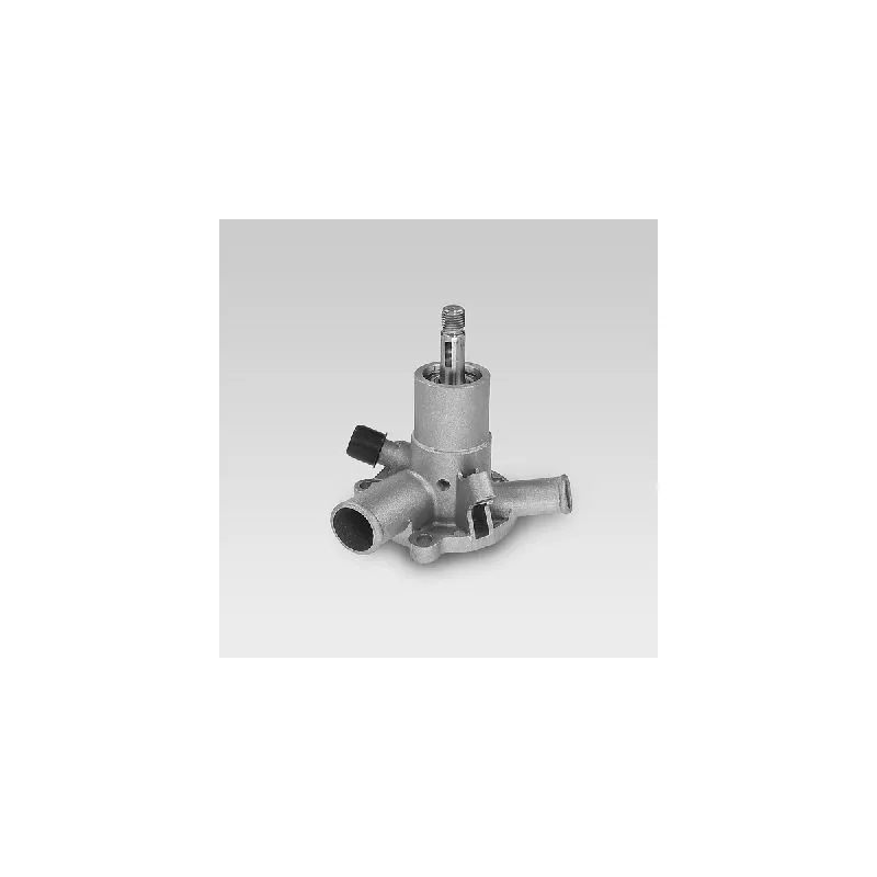 Pompe à eau HEPU P868