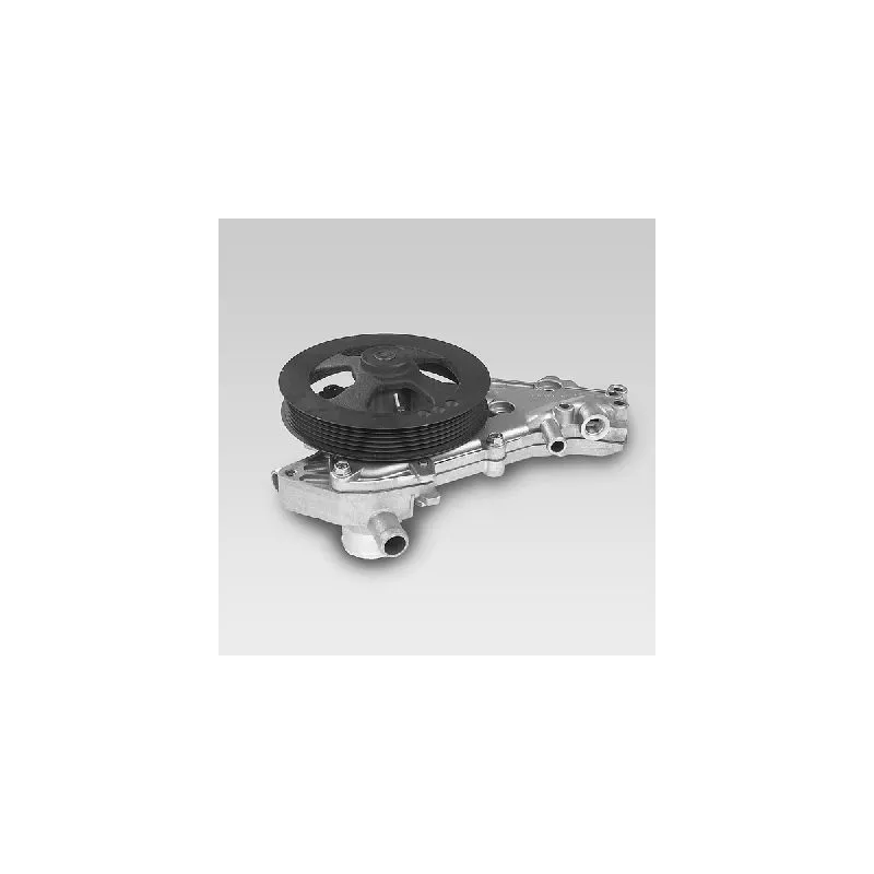 Pompe à eau HEPU P872