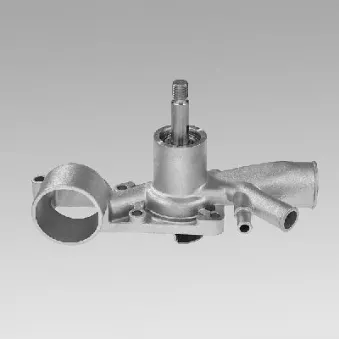 Pompe à eau HEPU P875