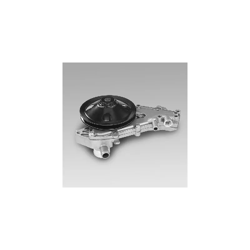 Pompe à eau HEPU P876