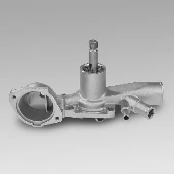 Pompe à eau HEPU P878