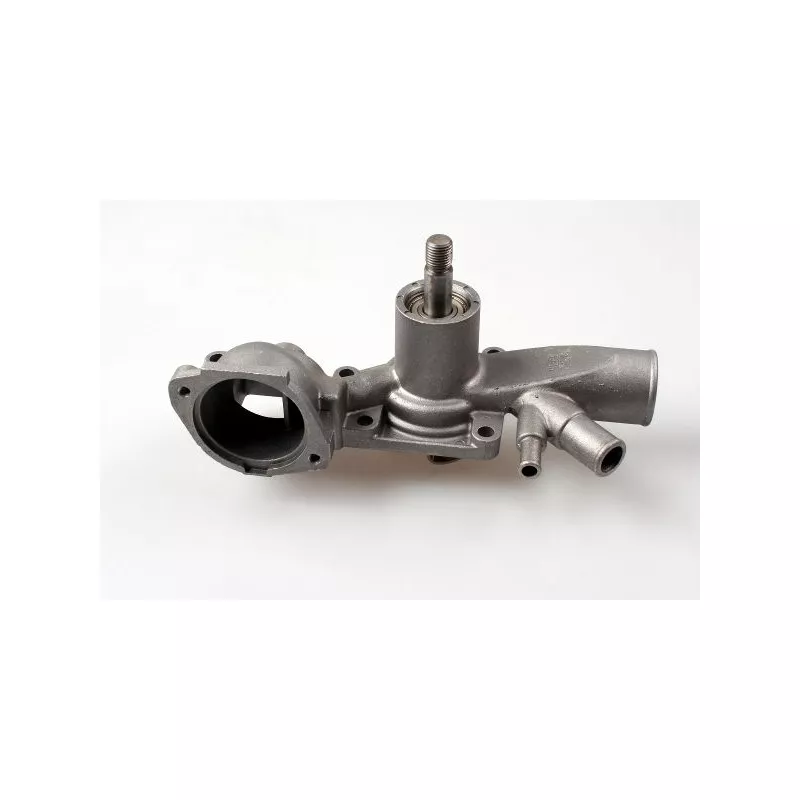 Pompe à eau HEPU P879